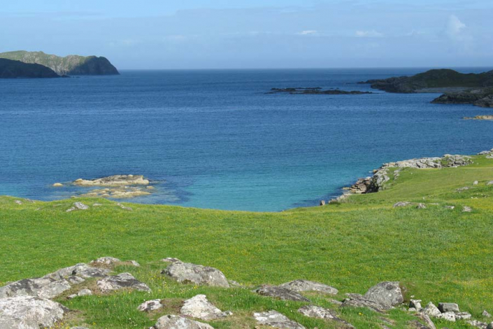 Lewis view